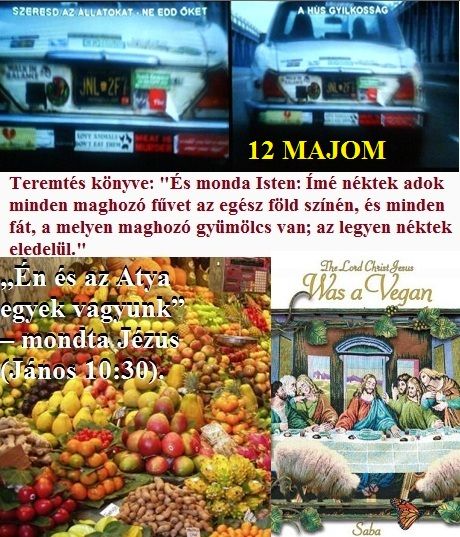 http://napcsillag.hupont.hu/felhasznalok_uj/2/1/212921/kepfeltoltes/hus_es_a_12_majom_kepek.jpg?50007131 http://napcsillag.hupont.hu/felhasznalok_uj/2/1/212921/kepfeltoltes/hus_es_a_12_majom_kepek.jpg?50007131