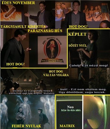 http://napcsillag.hupont.hu/felhasznalok_uj/2/1/212921/kepfeltoltes/keplet_-_edes_november_hotdog_es_a_nyul.jpg?85368816