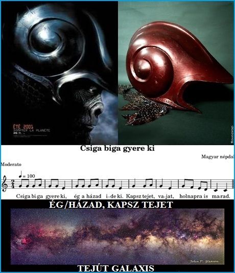 http://napcsillag.hupont.hu/felhasznalok_uj/2/1/212921/kepfeltoltes/kicsi/majmok_bolygoja_es_a_csigahaz_kepek000.jpg?55832054