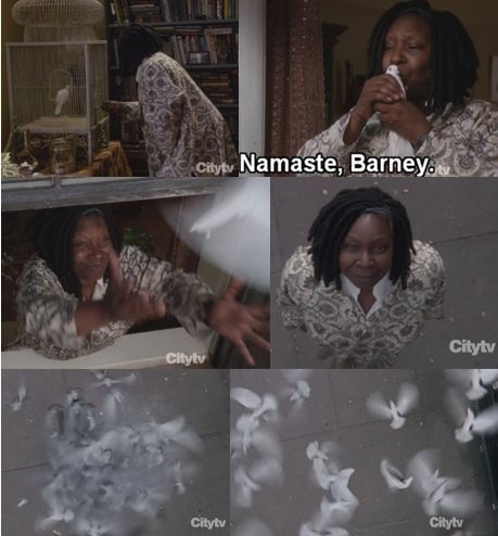 http://napcsillag.hupont.hu/felhasznalok_uj/2/1/212921/kepfeltoltes/whoopi_666_park_avenut_109_kepek.jpg?47139125